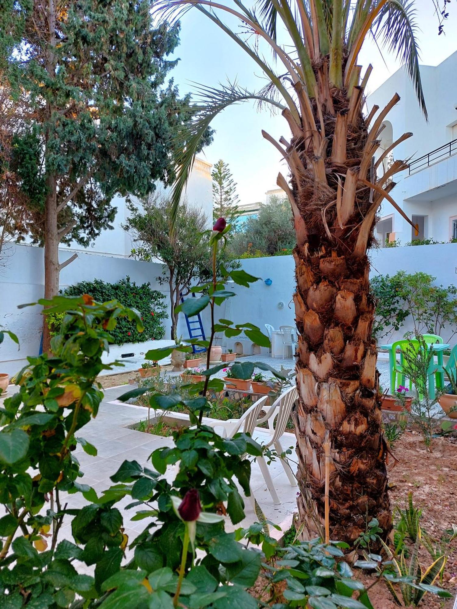 Azaiiza * Sousse