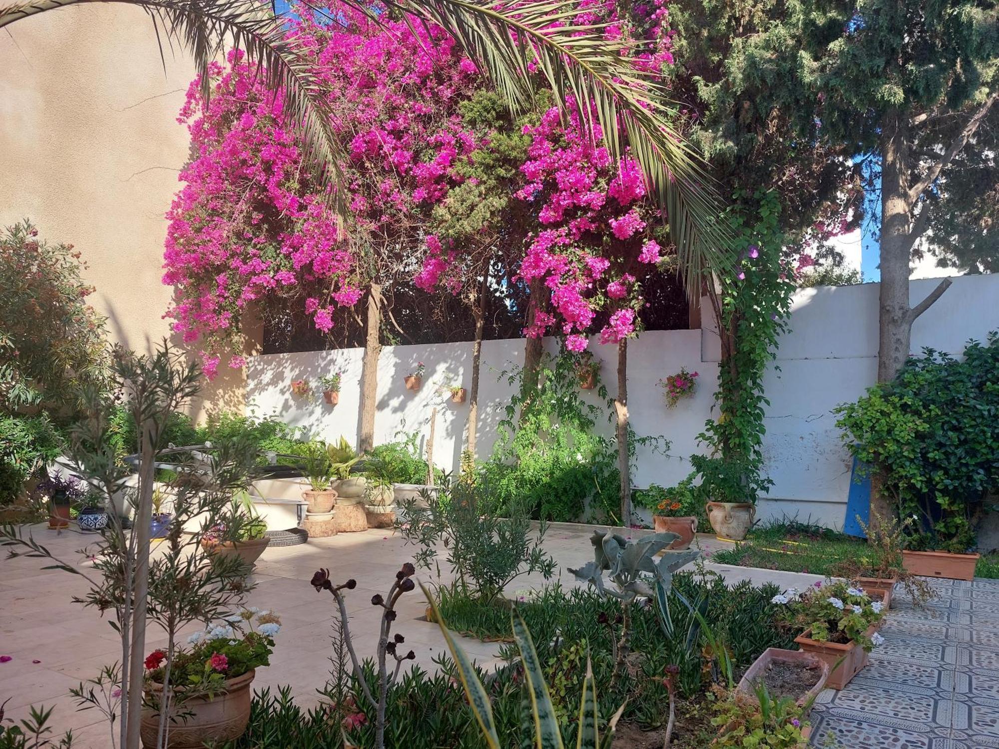 Apartment Azaiiza
